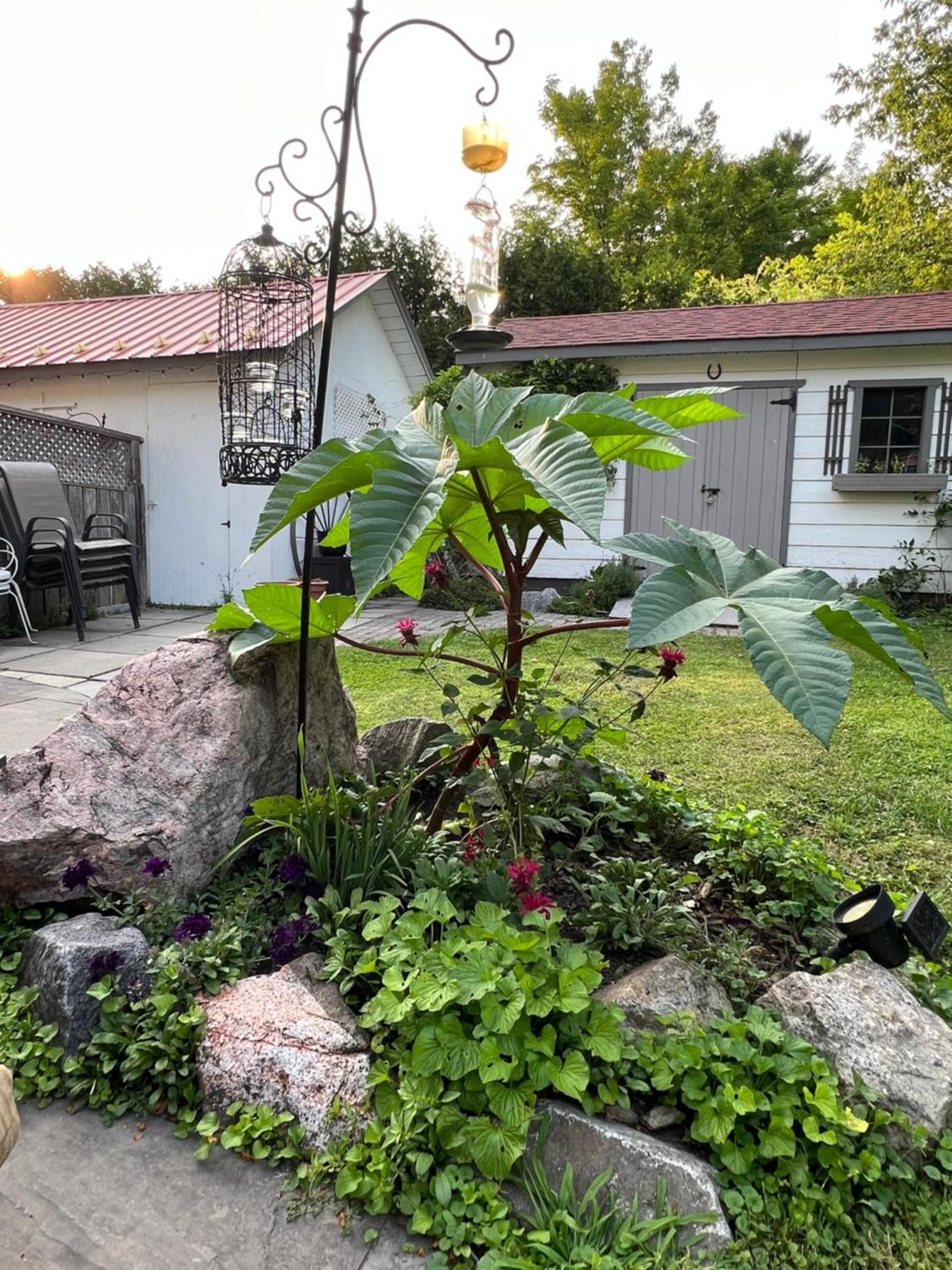 Les Trois Erables Boutique Inn Wakefield Ngoại thất bức ảnh